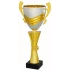 Cupa sport Larissa, gold-silver
