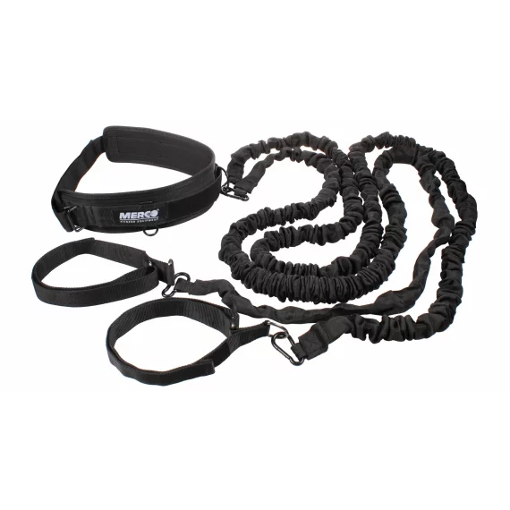 LS3661 resistance ropes