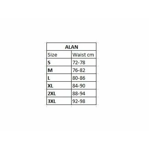 Alan swimming trunks black