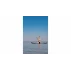 Allround Stand Up Paddle Board tyrkysova