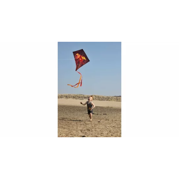Zmeu Dragon kite