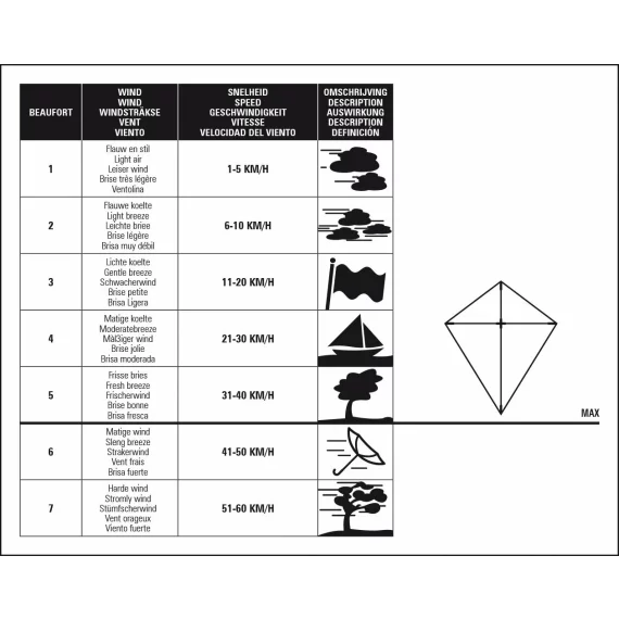 Zmeu Dragon kite