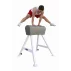 Capră de gimnastică profesională