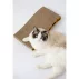 Carton de zgariat pentru pisici, Purlov Cat Scratcher, imita copacii, satisface nevoia de zgariat si ascutit unghii, 23 x 43 x 4 cm