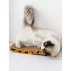 Carton de zgariat pentru pisici, Purlov Cat Scratcher, imita copacii, satisface nevoia de zgariat si ascutit unghii, 23 x 43 x 4 cm