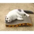 Carton de zgariat pentru pisici, Purlov Cat Scratcher, imita copacii, satisface nevoia de zgariat si ascutit unghii, 23 x 43 x 4 cm