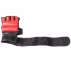 Gloves MMA 