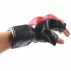 Gloves MMA 