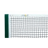 Fileu tenis de camp Deluxe Tennis Net Court Royal TN 200, omolgat ITF